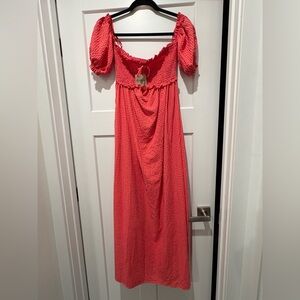 Anthropologie/The Frolic Pink Gingham Maternity Dress